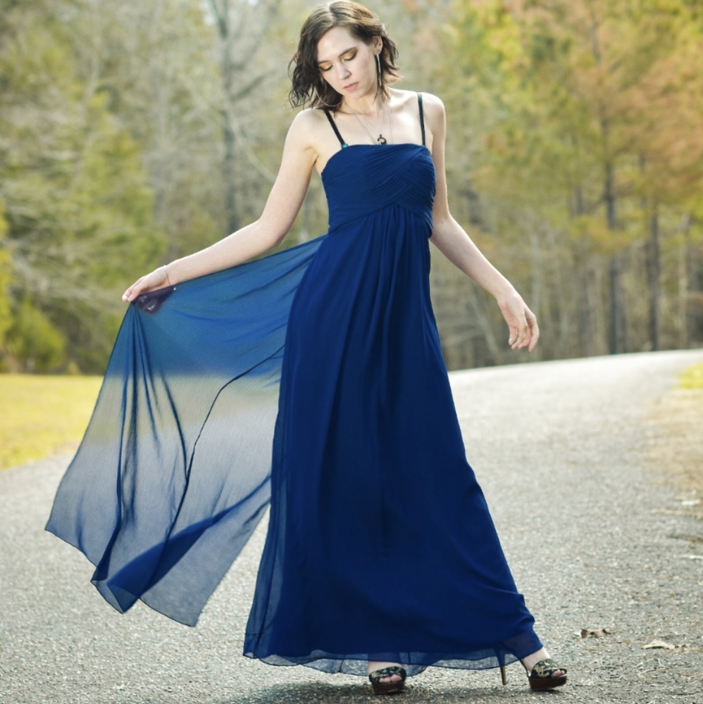 Vineyard Collection Prom Dress (Size 8) Blue